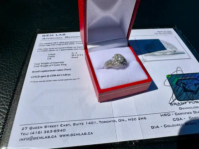 #832 - 14kt White Gold, 1.00 CTW Diamond Cluster Ring, Size 7 - Photo 2