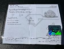 #832 - 14kt White Gold, 1.00 CTW Diamond Cluster Ring, Size 7 - Photo 8