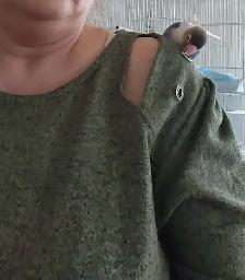 PLUSIEURS OISEAUX INSÉPARABLES AVEC OU SANS CAGES SEMI APPRIVOIS