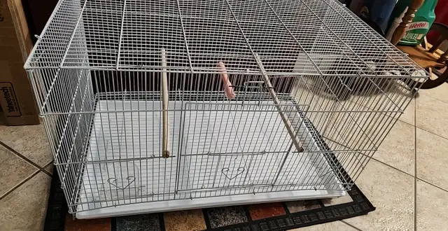 PLUSIEURS OISEAUX INSÉPARABLES AVEC OU SANS CAGES SEMI APPRIVOIS - Photo 10