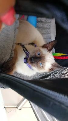 NEED A HOME ASAP - Photo 3