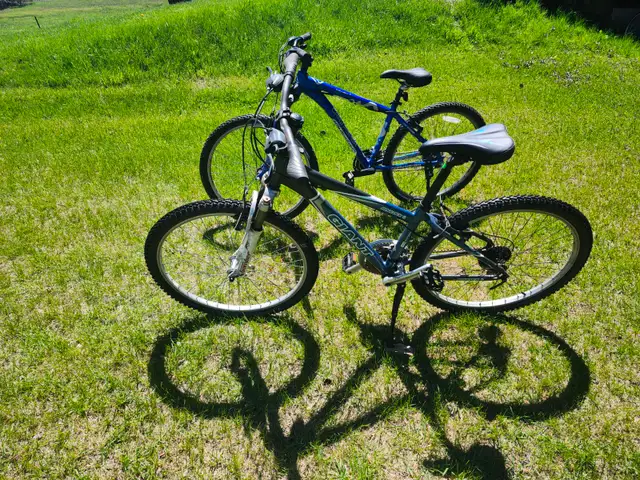 Boys Mountain Bikes For sale - Photo 2
