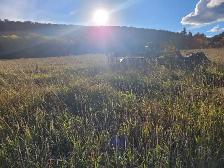 160 acre Farm in Unorganized Township With House
