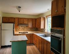 160 acre Farm in Unorganized Township With House - Photo 3