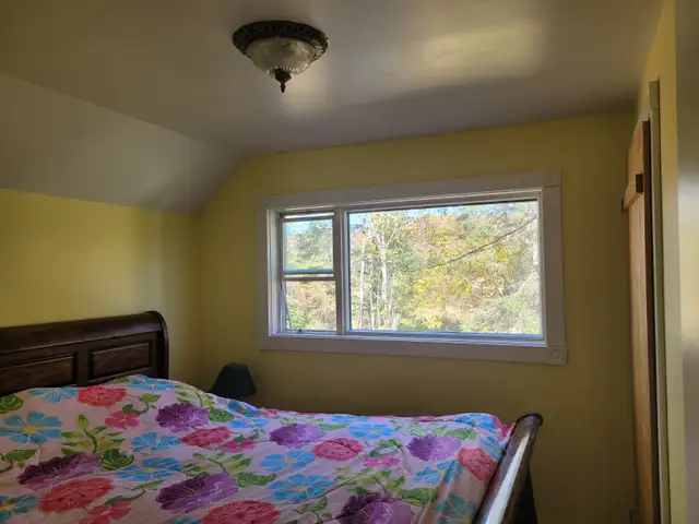 160 acre Farm in Unorganized Township With House - Photo 6
