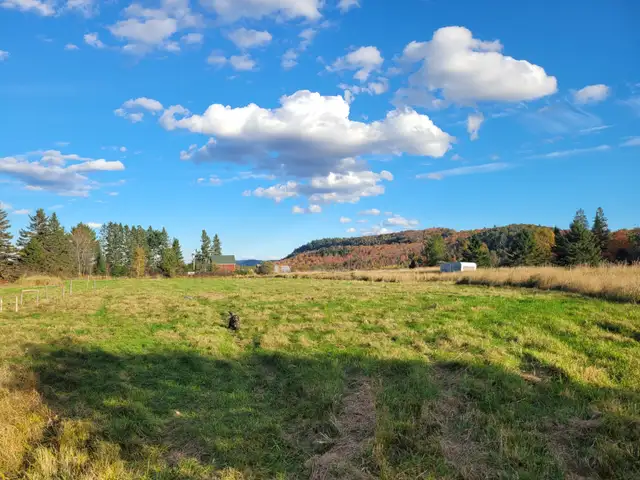 160 acre Farm in Unorganized Township With House - Photo 8