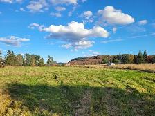 160 acre Farm in Unorganized Township With House - Photo 8