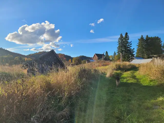 160 acre Farm in Unorganized Township With House - Photo 10