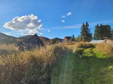 160 acre Farm in Unorganized Township With House - Photo 10