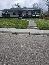Lawn Care