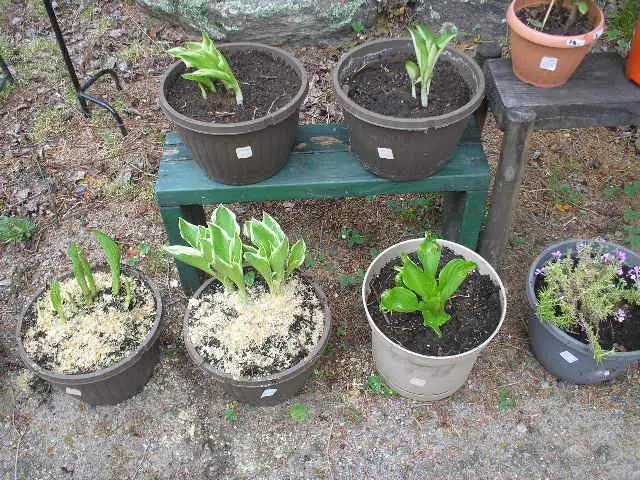 Garage Sale - Photo 4