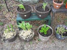 Garage Sale - Photo 4