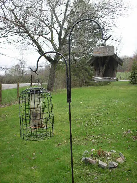 Garage Sale - Photo 7