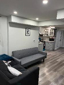 Basement for Rent Dixie & Countryside Brampton from 1-6-2026 - Photo 3