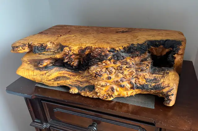 Big Leaf Maple Burl Jewelry Box