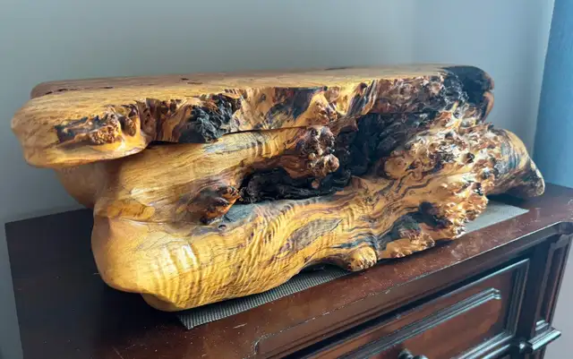 Big Leaf Maple Burl Jewelry Box - Photo 2