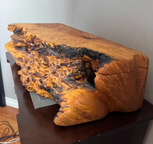 Big Leaf Maple Burl Jewelry Box - Photo 4