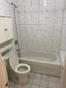 Gage Park Area in Hamilton - 1 Bedroom Apartment - Photo 4