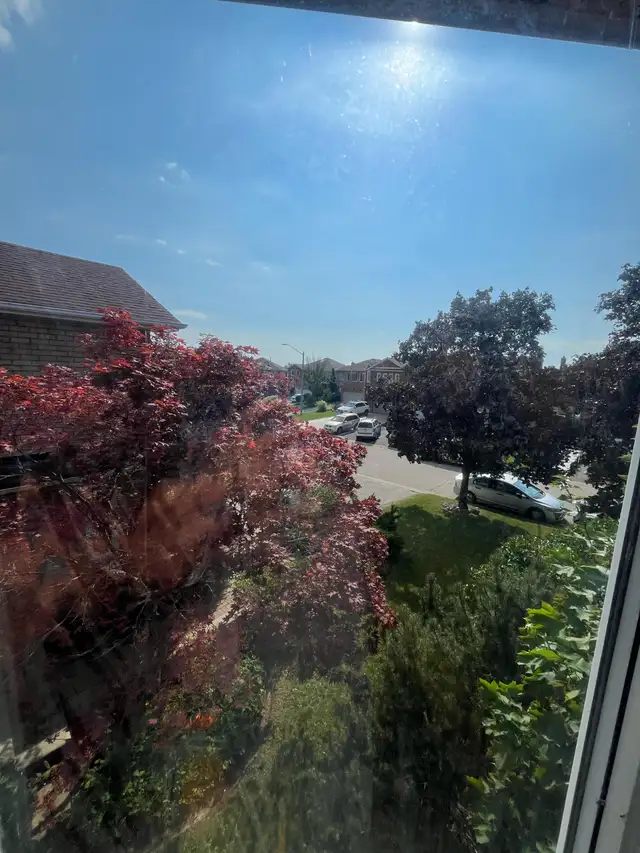 Private room for rent -  Mississauga - Parking available-July 1s - Photo 9