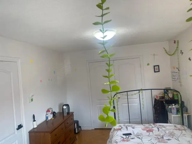 Private room for rent -  Mississauga - Parking available-July 1s - Photo 11