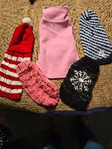 SMALL DOG AND PUPPY ACCESSORIES - Photo 8