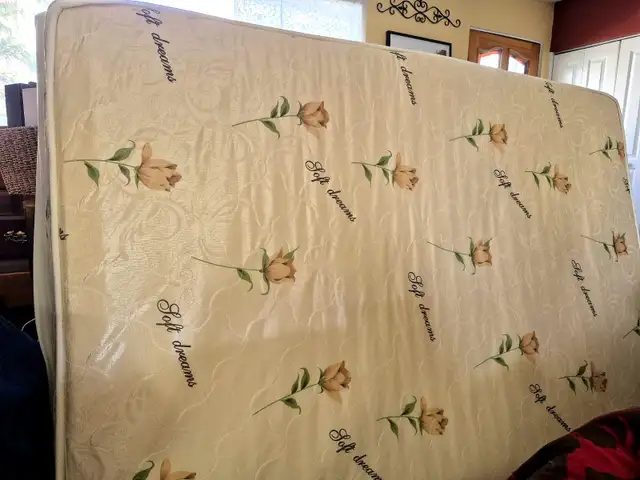FREE, FREE, FREE! HARD-TO-FIND 3/4 VINTAGE BED- SE CALGARY - Photo 2