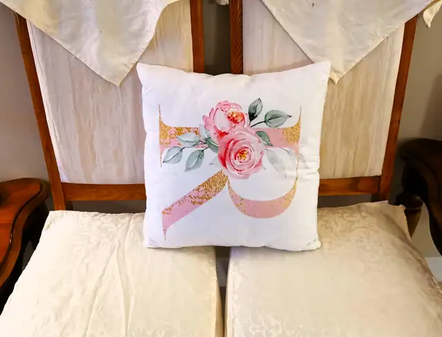 Two Sofa cushions