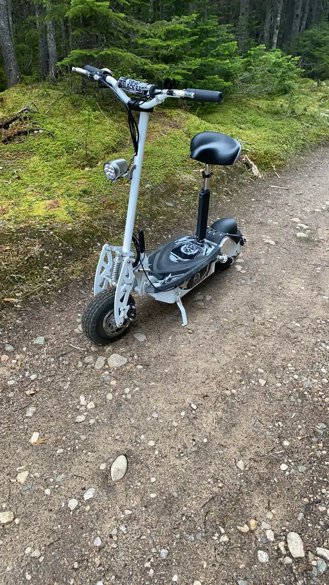 trottinettes électrique