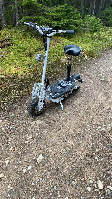 trottinettes électrique