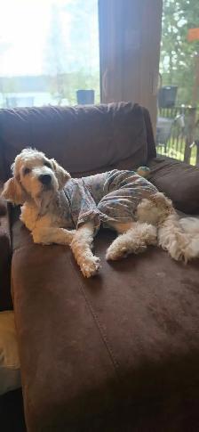 Needs a new home (price negotiable) - Photo 3