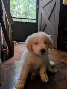 Needs a new home (price negotiable) - Photo 5
