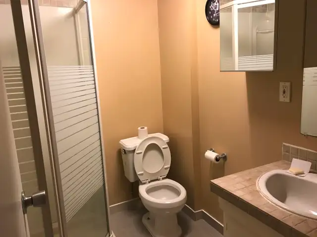 1 ROOM FOR RENT 5min FROM BROCK UNIVERSITY, DIRECT BUS IN FRONT - Photo 6