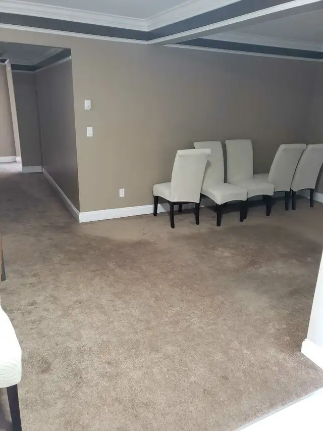 2 Bedroom basement suite for Rent - Photo 2