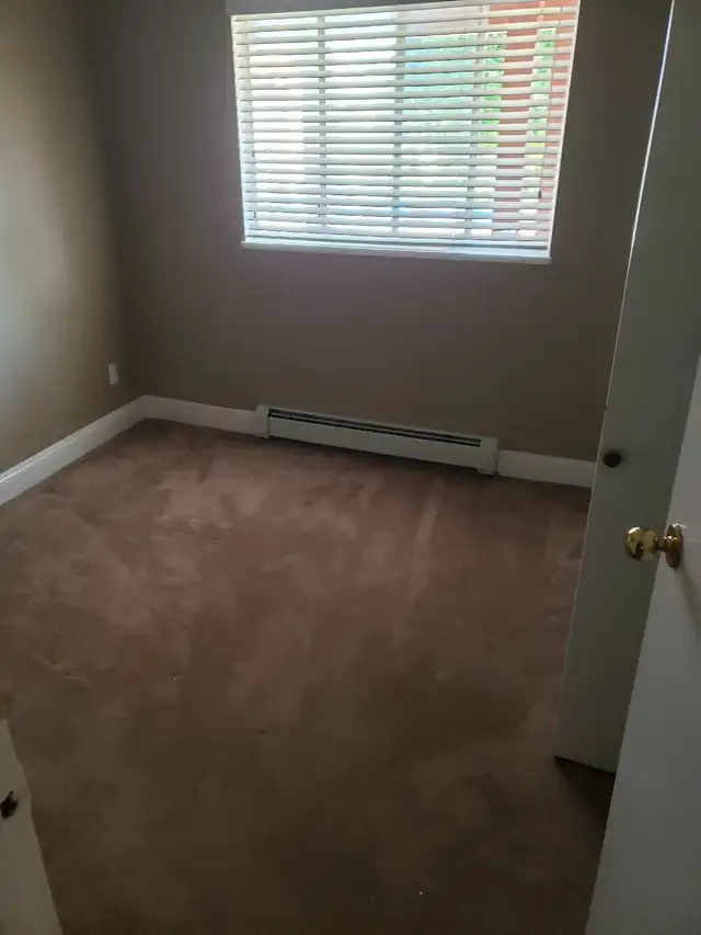 2 Bedroom basement suite for Rent - Photo 4