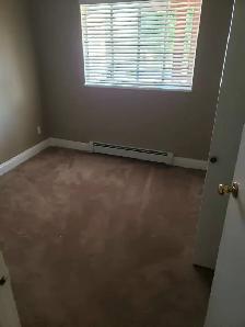 2 Bedroom basement suite for Rent - Photo 4