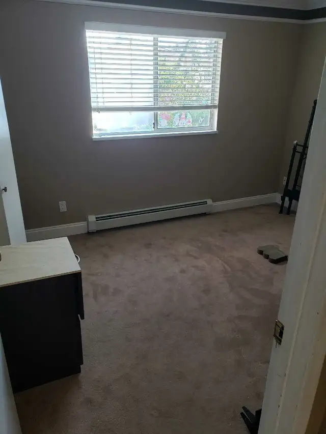 2 Bedroom basement suite for Rent - Photo 5