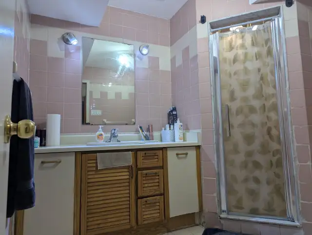 Spacious 1 Bedroom Basement flat for Rent with Rental Receipt - Photo 8