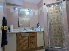 Spacious 1 Bedroom Basement flat for Rent with Rental Receipt - Photo 8