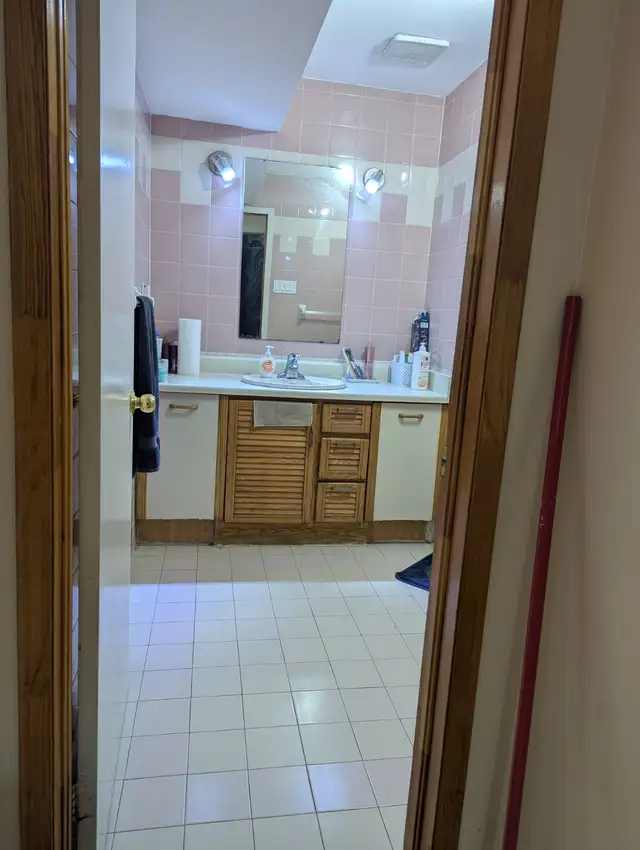 Spacious 1 Bedroom Basement flat for Rent with Rental Receipt - Photo 9