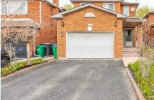 Spacious 1 Bedroom Basement flat for Rent with Rental Receipt - Photo 10