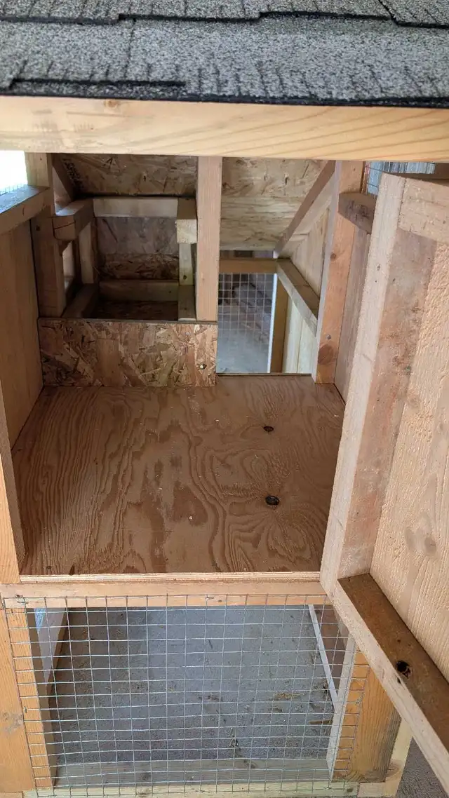 starter chicken coop - Photo 3