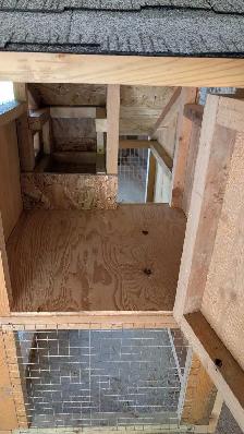 starter chicken coop - Photo 3