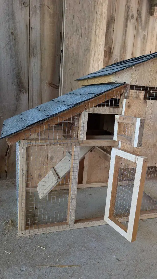 starter chicken coop - Photo 4