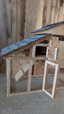starter chicken coop - Photo 4