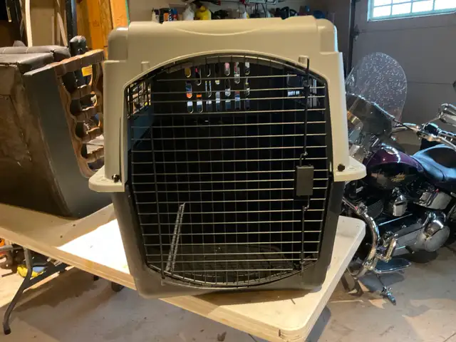Dog Plastic Kennel - Travel Crate
