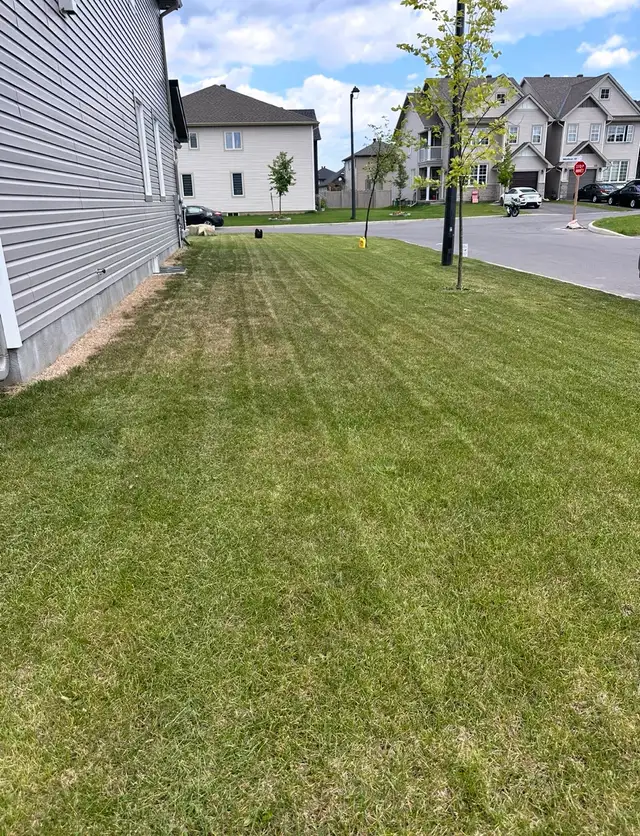 lawn mowing service