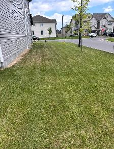 lawn mowing service