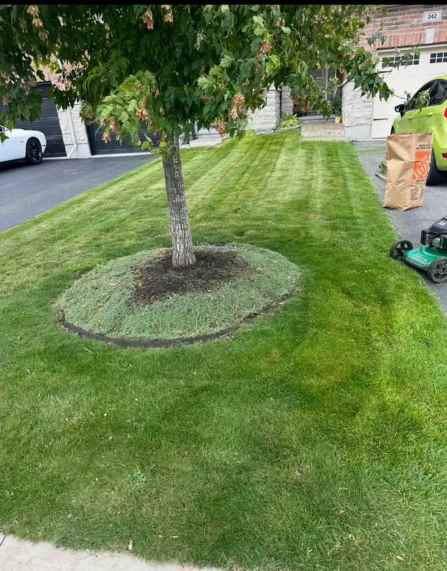 lawn mowing service - Photo 2