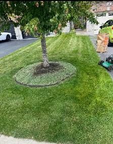 lawn mowing service - Photo 2