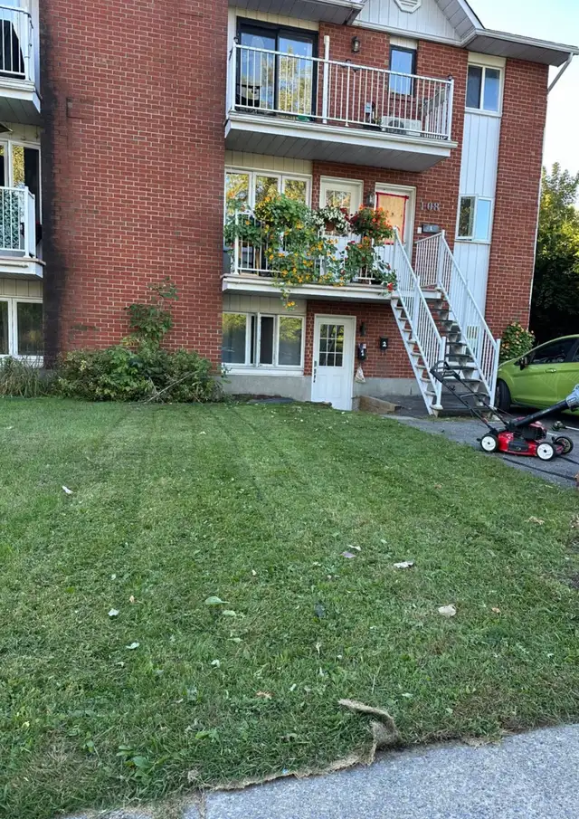 lawn mowing service - Photo 3